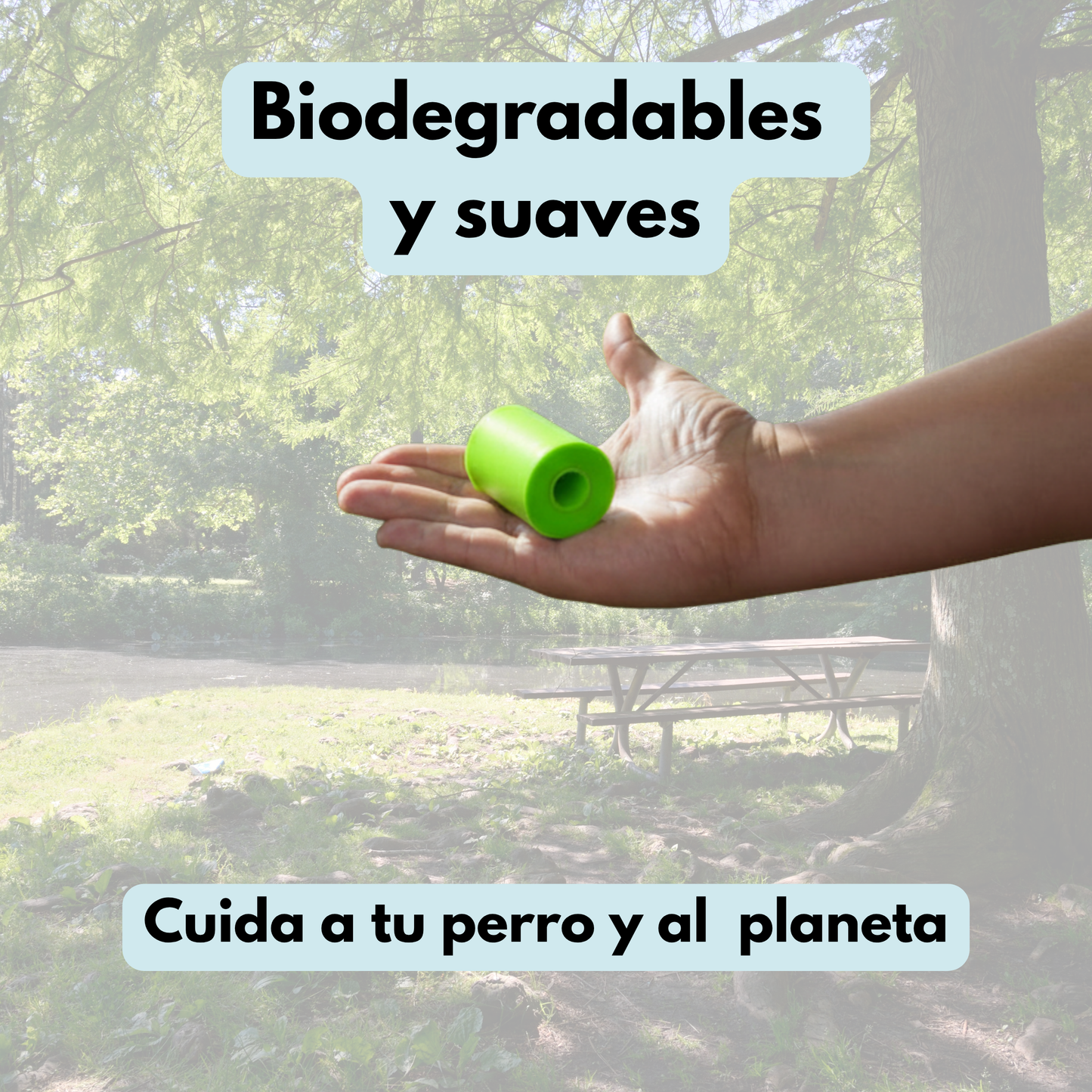 Caja bolsas