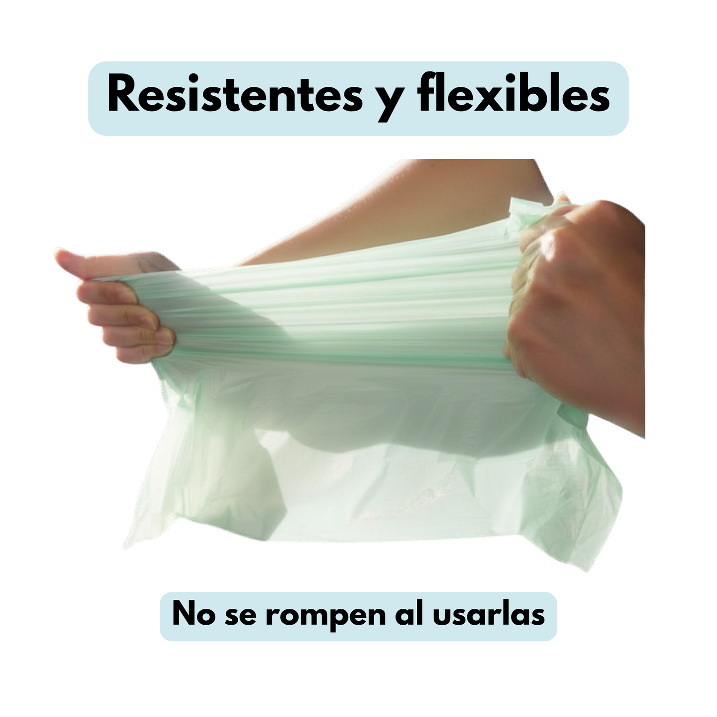 Caja bolsas